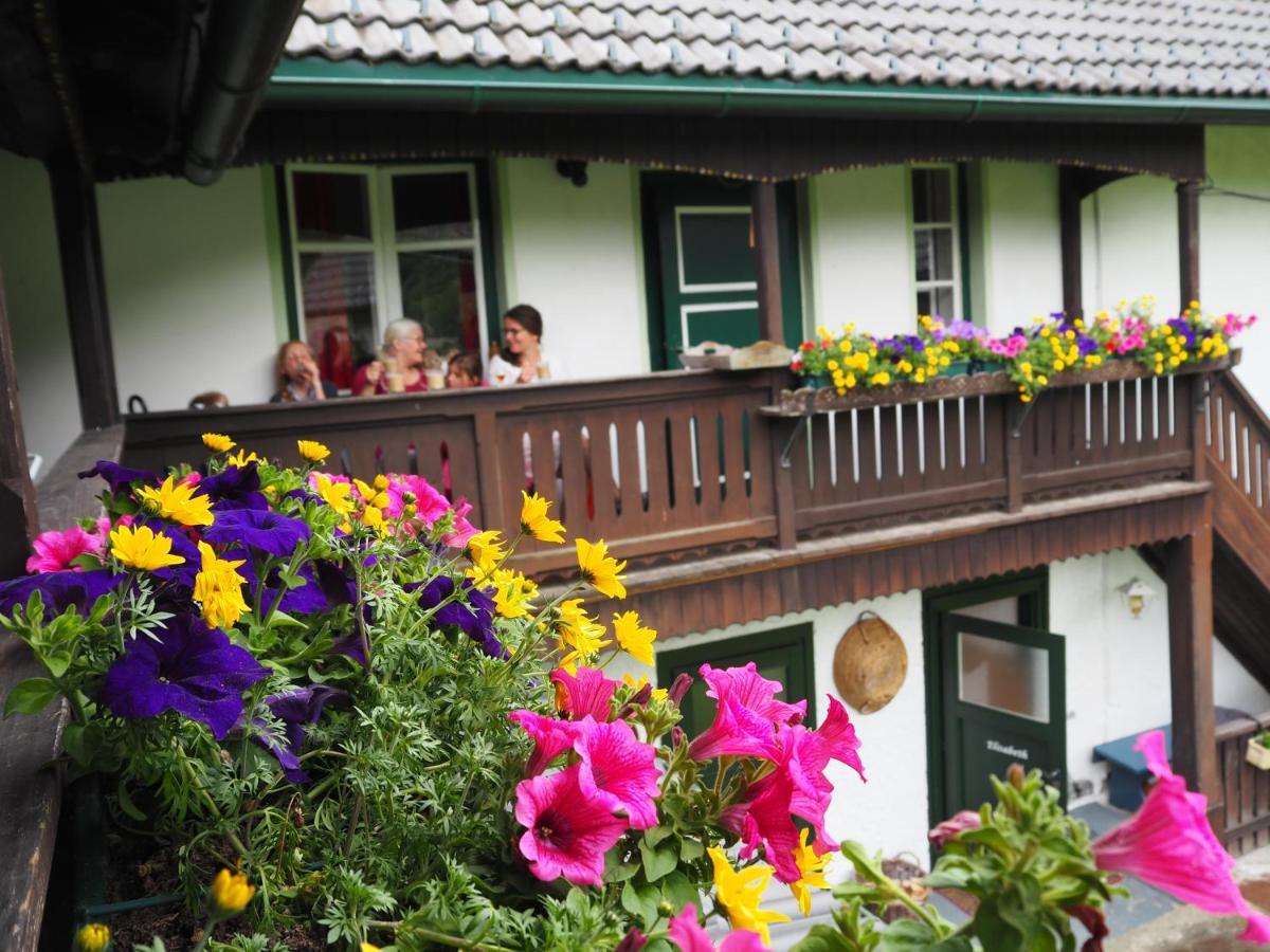 Sachserhof Ferienwohnungen In Sachsenburg Exterior photo